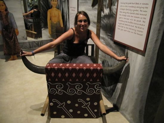 South Asia Gallery
