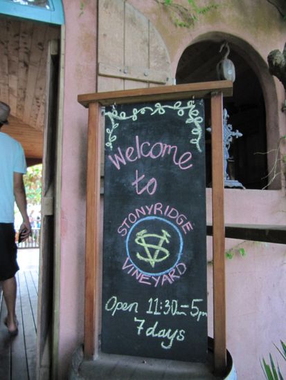 Auf zur Weinverkostung