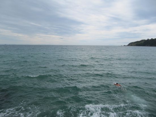 Baywatch live