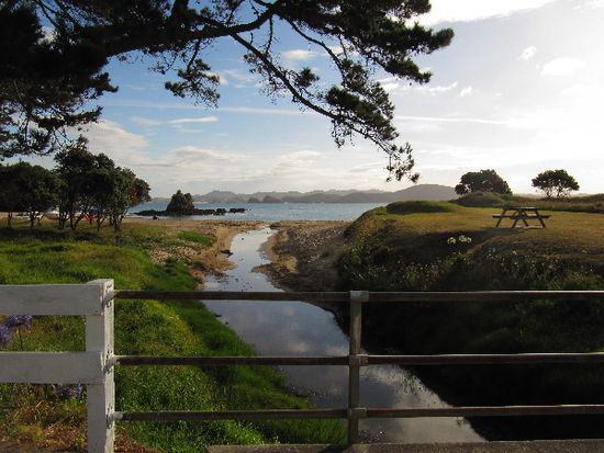 Tutukaka