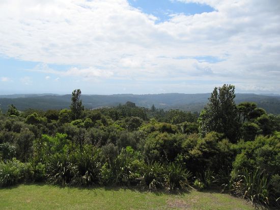 Waipoua Forest...nicht fotografierbar