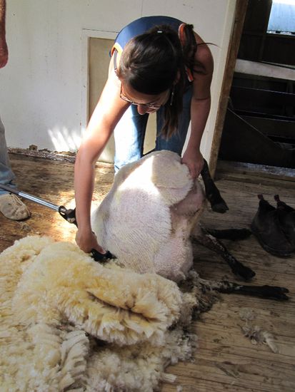 na bitte, des geht doch perfekt