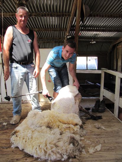 Andi gibt dem Schaf den Rest 