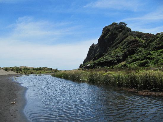 Weg zum Piha Beach