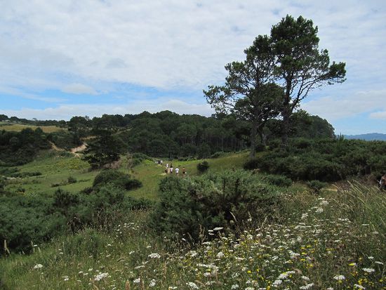 Weg zum Strand runter