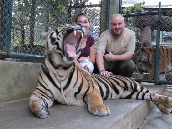 Keine Sorge, er gaehnt nur