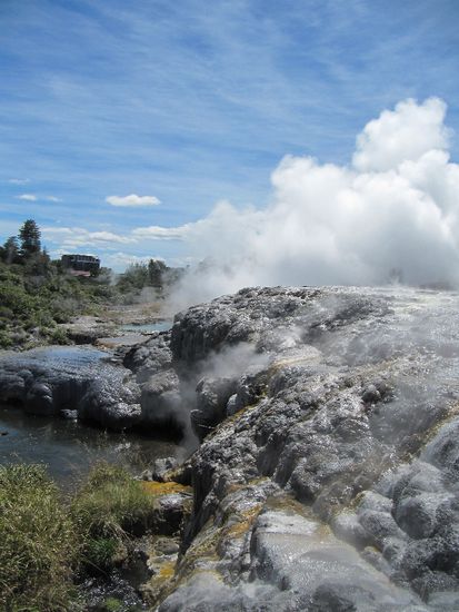 Geysire in Te Puia