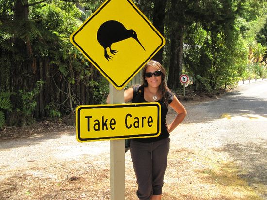 Pass auf, da pickt ein Vogel an deinem Kopf!