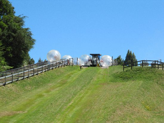 Zorb!!!!