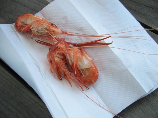 unser Fang...mmmh lecker