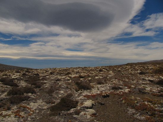 Schaut auf den ersten Blick aus wie Schnee, auf den zweiten wie Schimmel...aber es is nur Moos