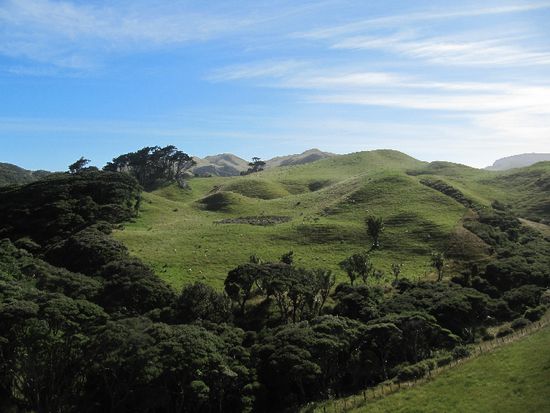 Auf dem Weg zum Strand