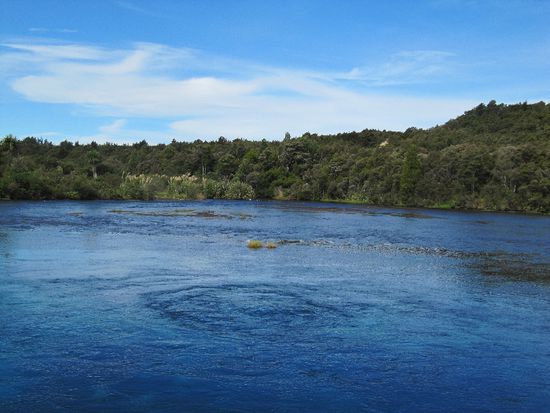 Es sprudelt aus dem Boden bei den Pupu Springs