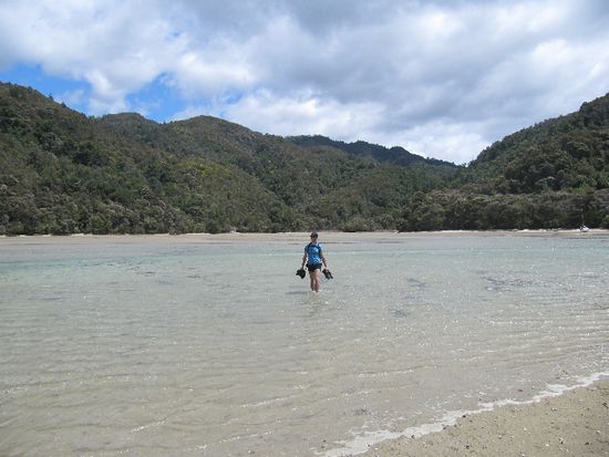 ok, die Flut is schon im kommen
