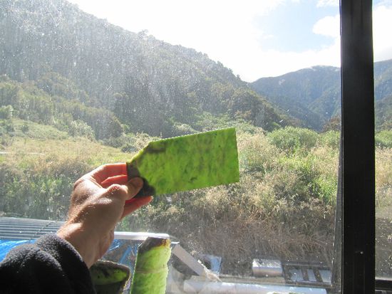 so schauts am Anfang aus