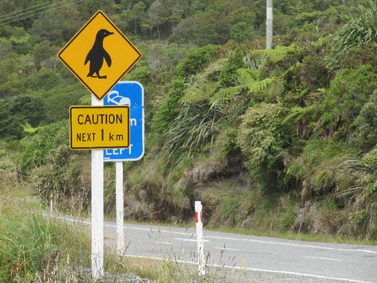 auf der Fahrt nach Barrytown