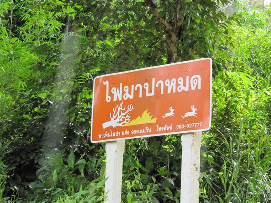 Bei brennendem Wald Vorsicht vor fluechtenden Tieren..