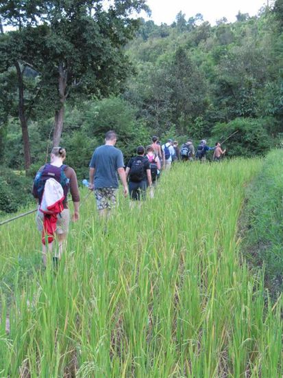 erinnert ein bissl an The Beach