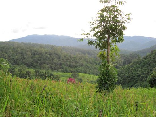 Ausblick von unserem Haus