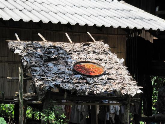 Chilis getrocknet auf Blaetterdach