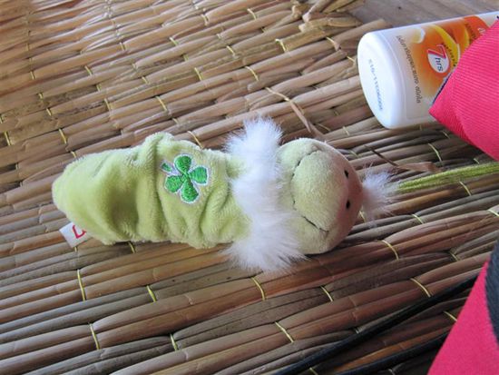 Dieses Foto ist fuer Andy: Wie du siehst, dem Koarl gehts gut