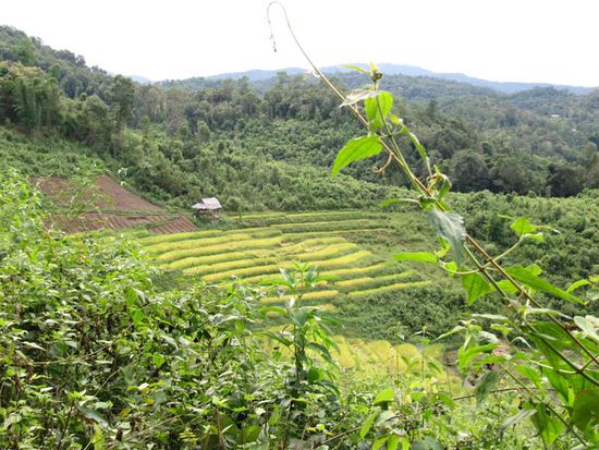 Weiter gehts mit dem Trekking...