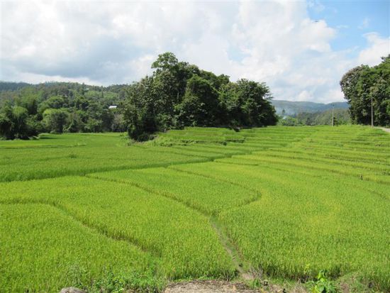 Unser letztes Wegstueck am Trekkingpfad