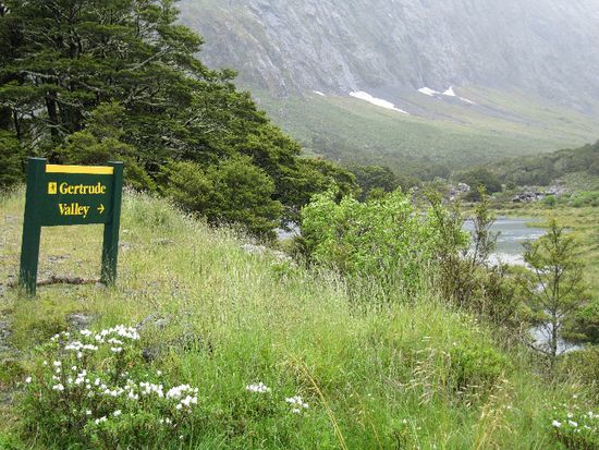 liebe Grüße an Gerti 