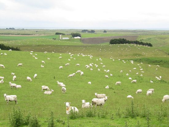 Schaaaaaaaaaaaaaaaaaafe