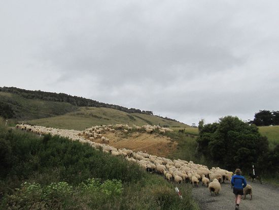 ja das kann schon mal dauern