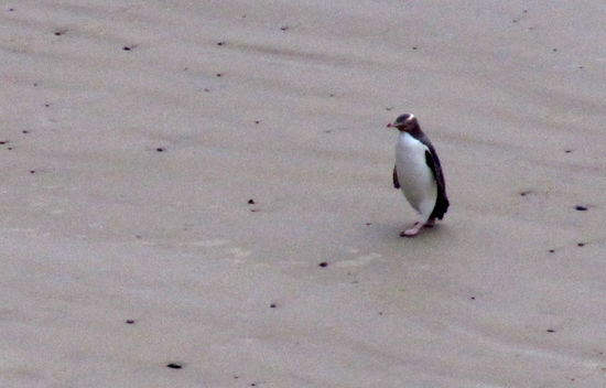 Einfach nur cool, oder?