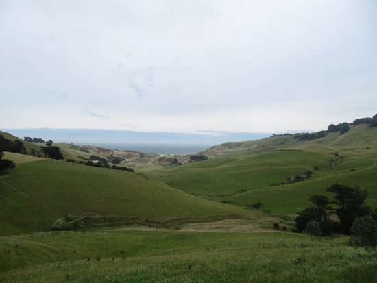 Otago Peninsula