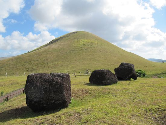 die Klumpen sind die Pukeau, Hüte, Frisuren, was auch immer