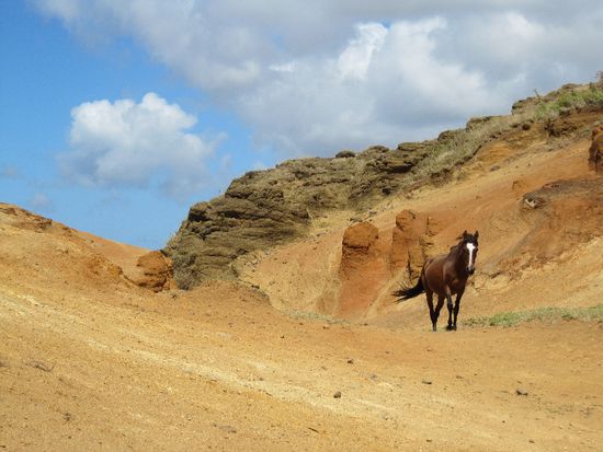Grand Canyon? Na, Krater