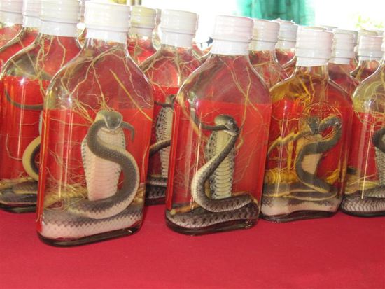 Kobraschnaps fuer die Potenz...wers braucht