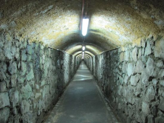 hinein in den einzigen Aufzug, der ganz gerade rauf geht in Valparaíso - der ascensor polanco