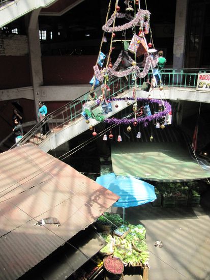 wie bekommt man Weihnachtsdeko, eine Katze und einen Gemuesestand auf ein Bild? - in den Fischmarkt zum Essen gehen