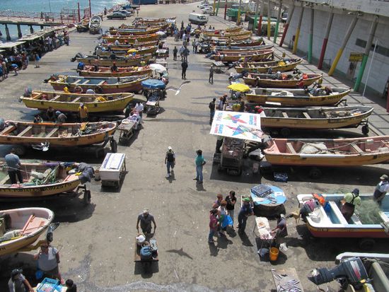 ich wuerd ja gern sagen mmmh lecker, aber es stinkt schon furchtbar