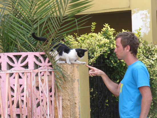 erinnert des net an a Gemaelde von Leonardo da Vinci?