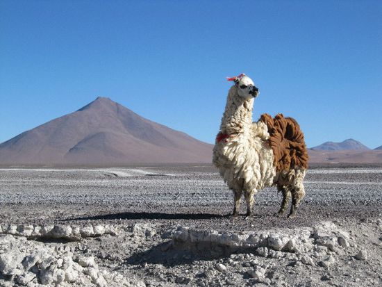 da sieht man mal wie der Wind bläst