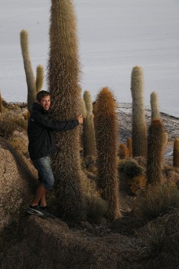 Die Kunst einen Kaktus zu umarmen - Mama, erinnert dich das an was? 
