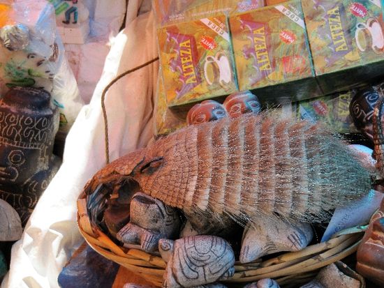 Guerteltier gefaellig?