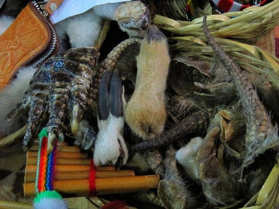 oder ein paar Zehen? Oder Hufe?