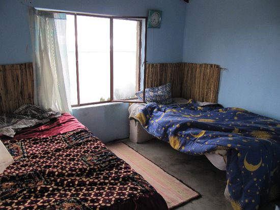 links das Bett mit den Hundehaaren