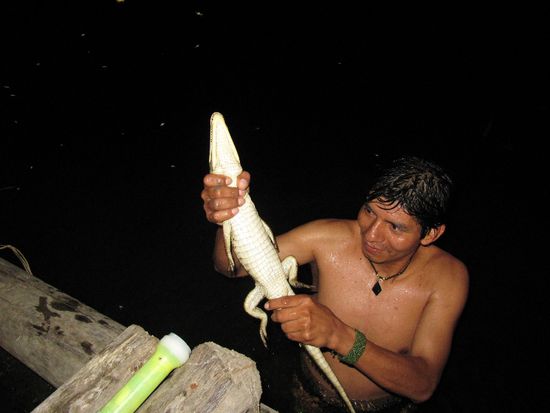 Abel mit seinem Fang