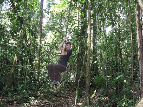 Tarzan is alive (er hat zwar ein paar Mal den Baum "begrüßt", aber es war nicht so schlimm 