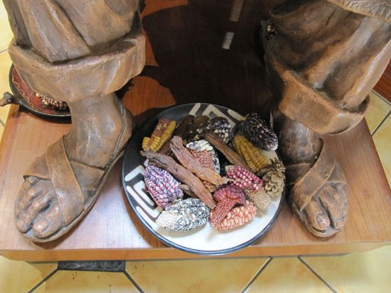 sooo viele Maissorten