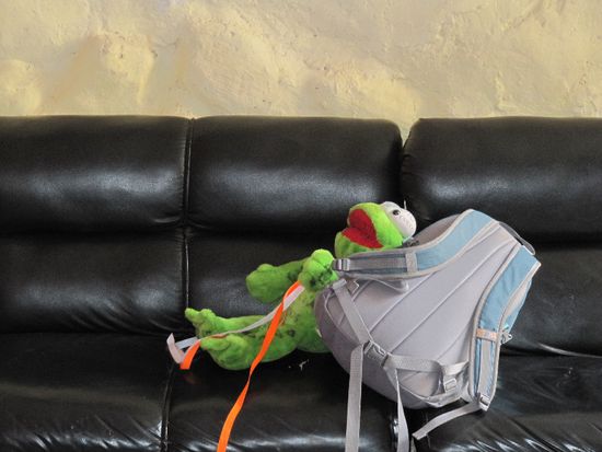 nicht nur ich reise mit einem Kuscheltier 