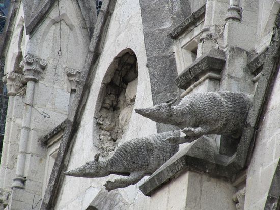 mal andere Wasserspeier: Gürteltiere!