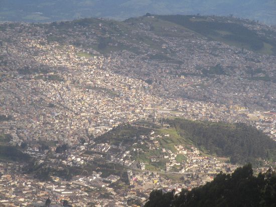 ein kleiner Ausschnitt